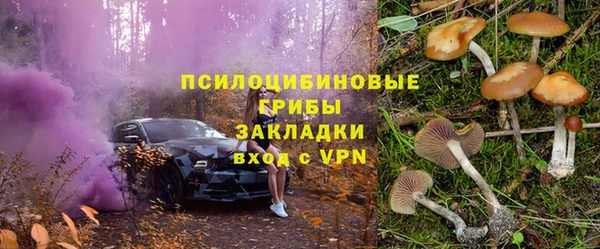 прущая мука Верея