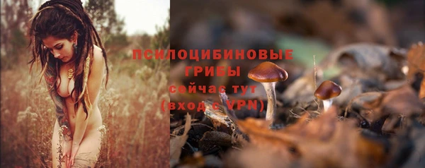 стаф Верхний Тагил