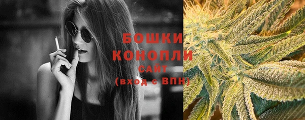 стаф Верхний Тагил