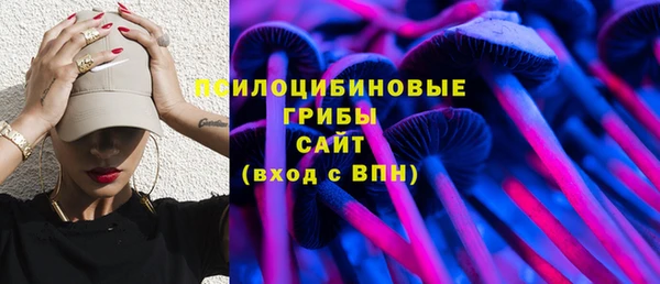 стаф Верхний Тагил